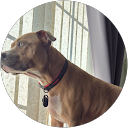 alex Cormack profile picture